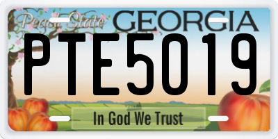 GA license plate PTE5019