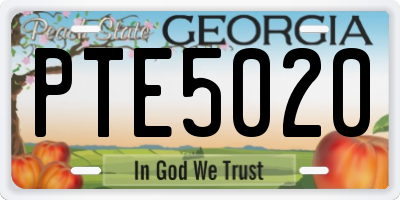 GA license plate PTE5020