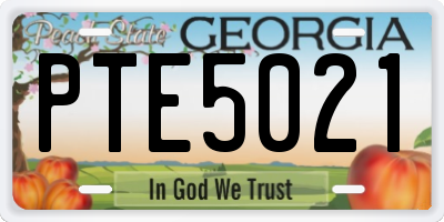 GA license plate PTE5021
