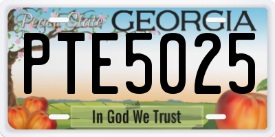 GA license plate PTE5025