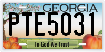 GA license plate PTE5031