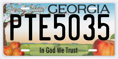 GA license plate PTE5035
