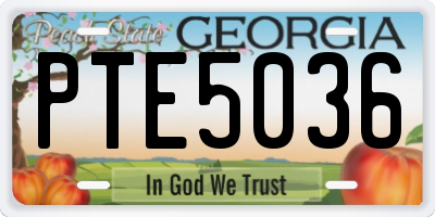 GA license plate PTE5036