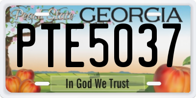 GA license plate PTE5037