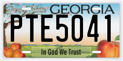 GA license plate PTE5041