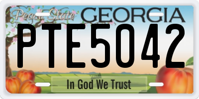 GA license plate PTE5042