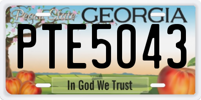 GA license plate PTE5043