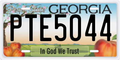 GA license plate PTE5044