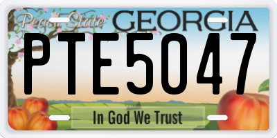 GA license plate PTE5047