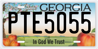 GA license plate PTE5055