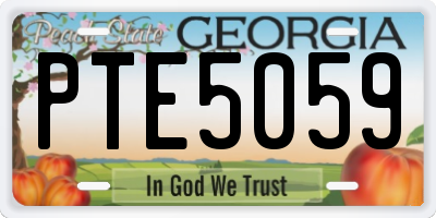 GA license plate PTE5059