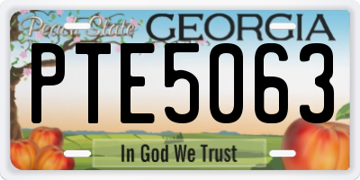 GA license plate PTE5063