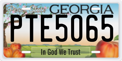 GA license plate PTE5065