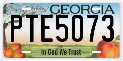 GA license plate PTE5073