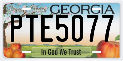 GA license plate PTE5077