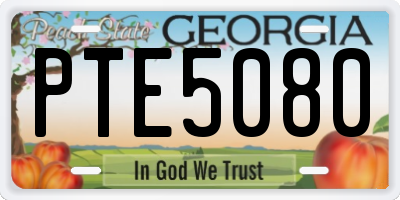 GA license plate PTE5080