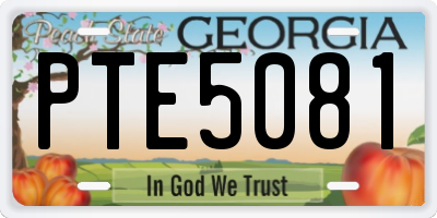 GA license plate PTE5081