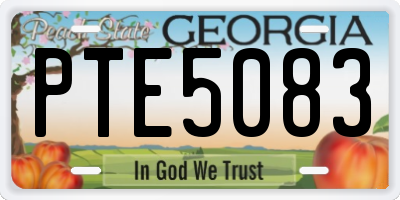 GA license plate PTE5083