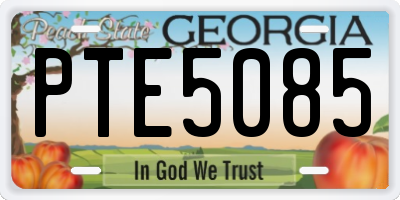 GA license plate PTE5085