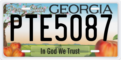 GA license plate PTE5087