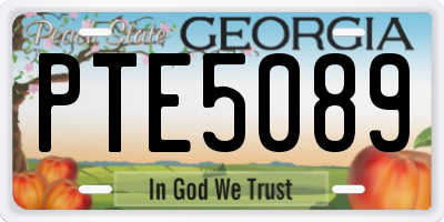 GA license plate PTE5089