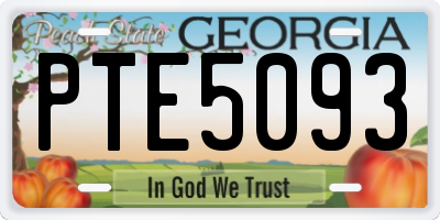 GA license plate PTE5093