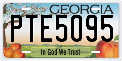 GA license plate PTE5095