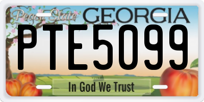GA license plate PTE5099
