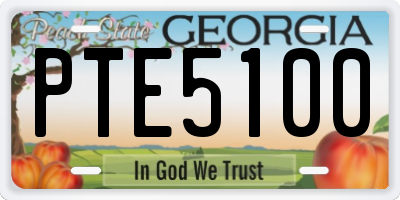 GA license plate PTE5100