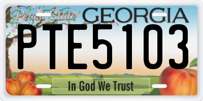 GA license plate PTE5103