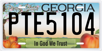 GA license plate PTE5104