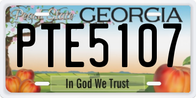 GA license plate PTE5107