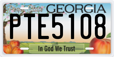 GA license plate PTE5108