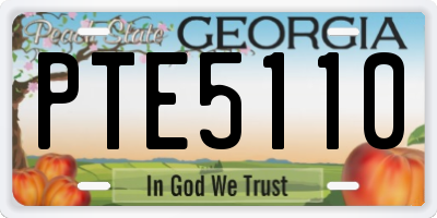 GA license plate PTE5110