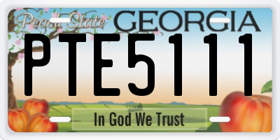 GA license plate PTE5111