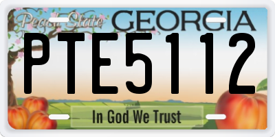 GA license plate PTE5112