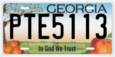 GA license plate PTE5113