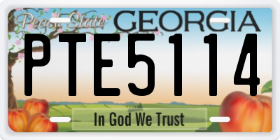 GA license plate PTE5114