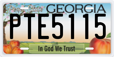 GA license plate PTE5115