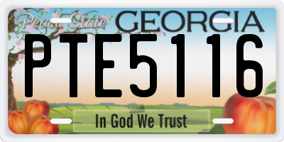 GA license plate PTE5116