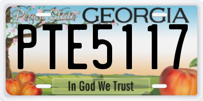 GA license plate PTE5117