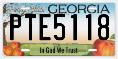 GA license plate PTE5118