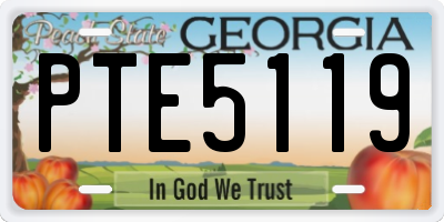 GA license plate PTE5119