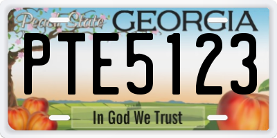 GA license plate PTE5123