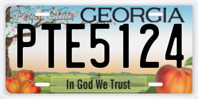 GA license plate PTE5124