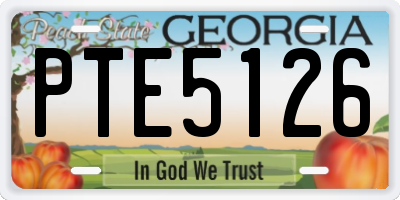 GA license plate PTE5126