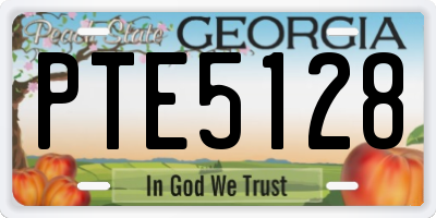 GA license plate PTE5128
