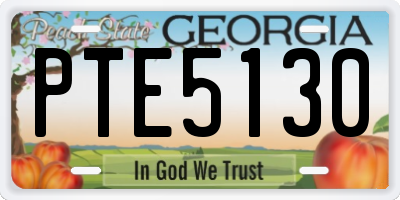 GA license plate PTE5130