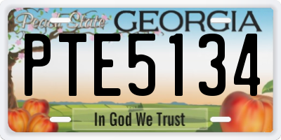 GA license plate PTE5134
