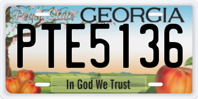 GA license plate PTE5136
